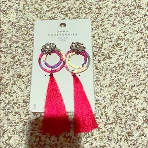 Zara collection earnings